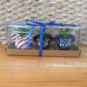 NWT Disney Mickey Mouse Ceramic Mini Planter with Faux Succulent Set Of 3